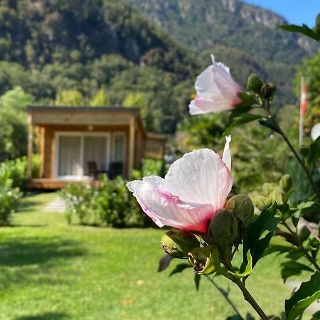Camping Piccolo Paradiso Avegno Buitenkant foto