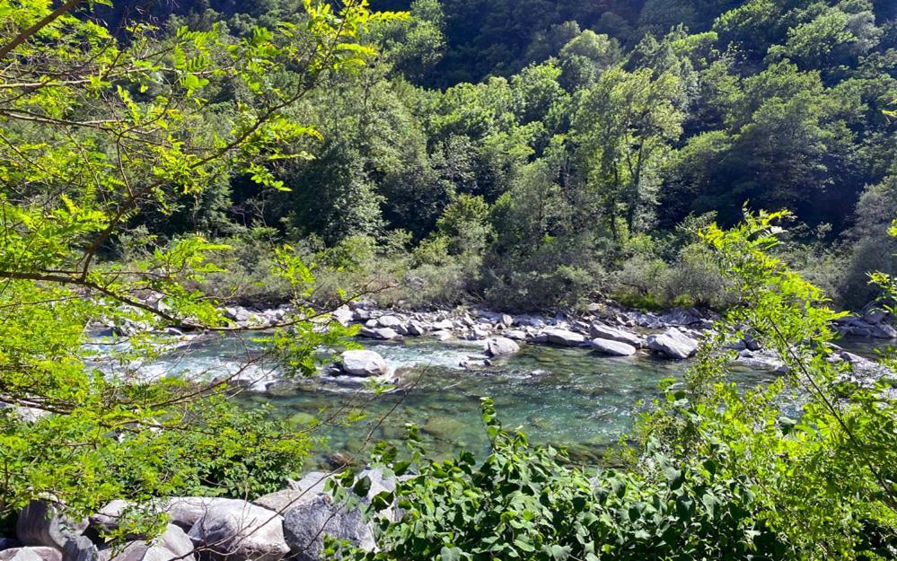 Camping Piccolo Paradiso Avegno Buitenkant foto